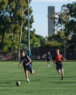 Sports, Recreation